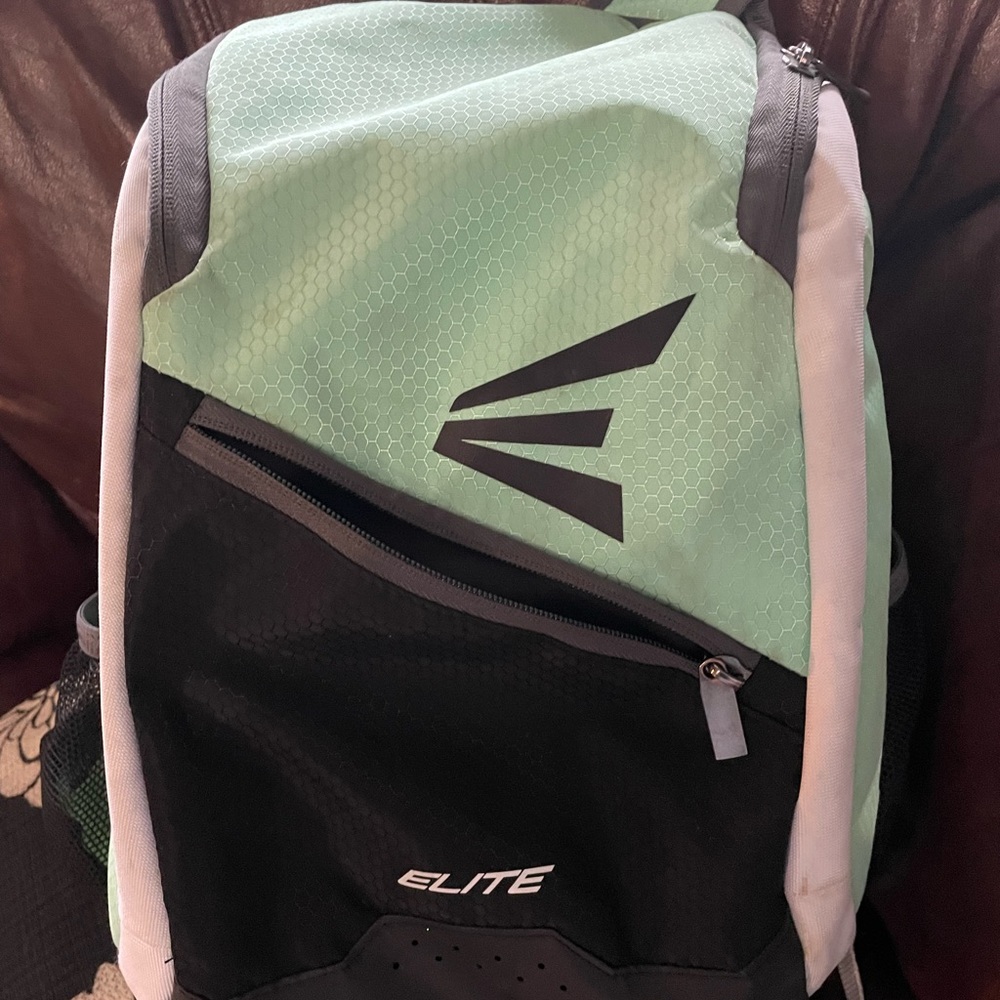 Easton softball bag, perfect condition.  Both sides have a bat holder